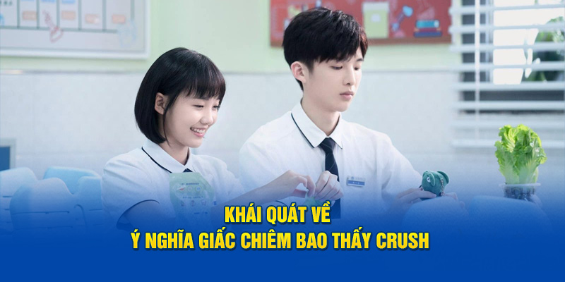 Khái quát về ý nghĩa giấc chiêm bao thấy crush